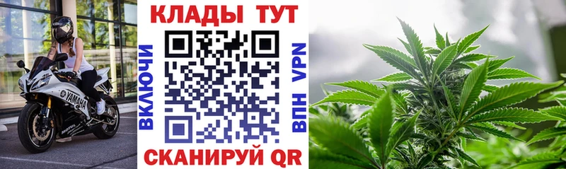 Хочу наркоту Новочебоксарск Бутират  Кокаин  СК  Галлюциногенные грибы 