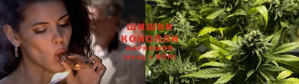 герыч Тайга