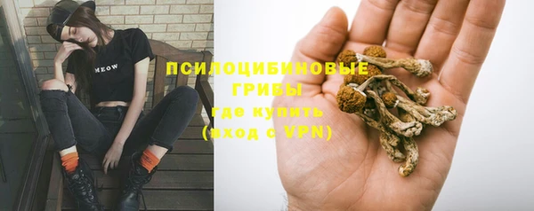 кристаллы Заводоуковск