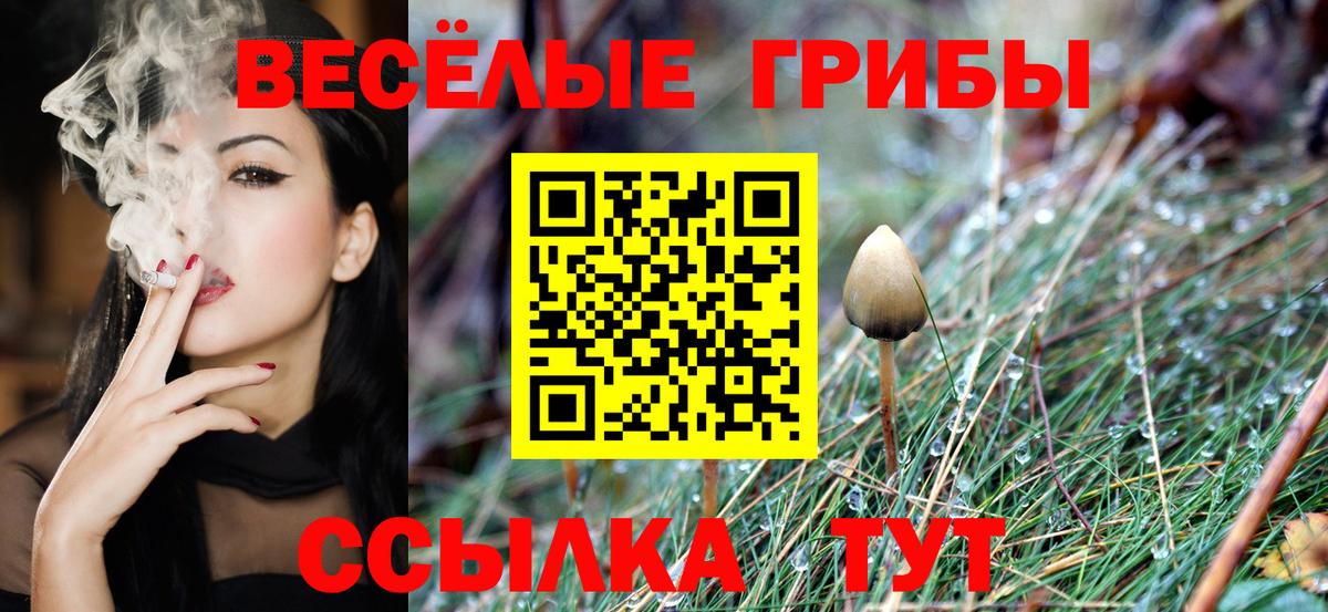 Новочебоксарск  Псилоцибиновые грибы прущие грибы  Вход с VPN 
